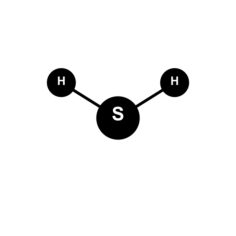 H2S Alive