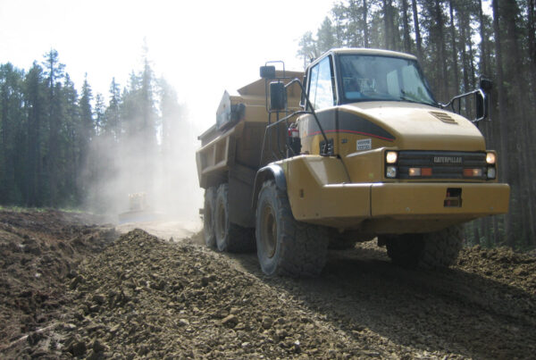 Shell Canada Energy Chinook 10-30-65-13 W6M 2007-07-28